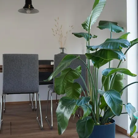 Hausboot Stoeckte ヴィンゼン