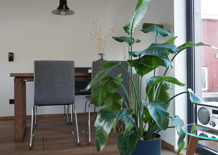 Hausboot Stoeckte 温森